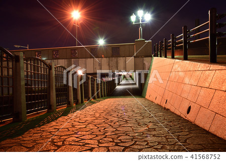 [Night Scene] Under the elevated cobblestone 41568752