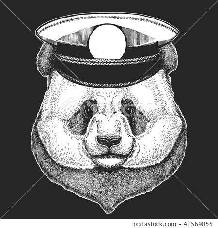 Vector print for children. Capitan, pirate animal. Brave sailor. Design for kindergarten, school Vector print for children. Capitan, pirate animal. Brave sailor. Design for kindergarten, school 41569055