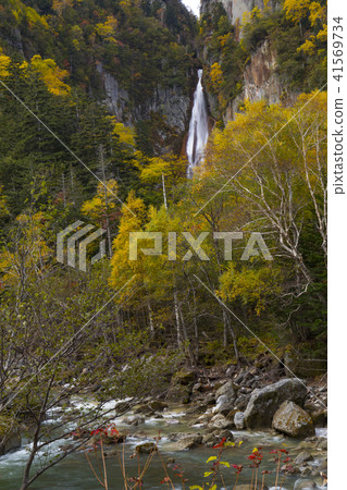 Daisetsuyama系統的秋葉 41569734