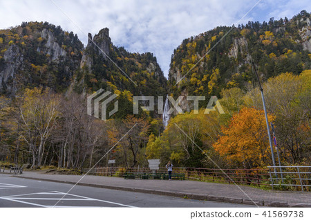 Daisetsuyama系統的秋葉 41569738