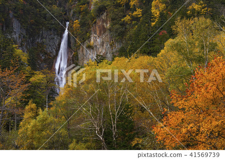 Autumn leaves of the Daisetsuyama system Autumn leaves of the Daisetsuyama system 41569739
