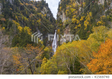 Autumn leaves of the Daisetsuyama system 41569740