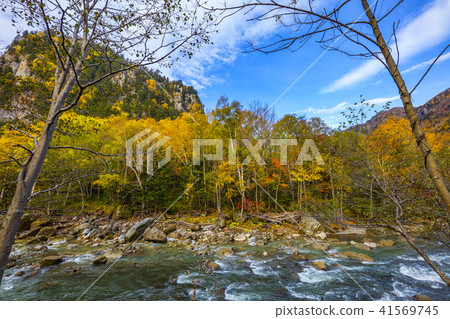 Autumn leaves of the Daisetsuyama system Autumn leaves of the Daisetsuyama system 41569745