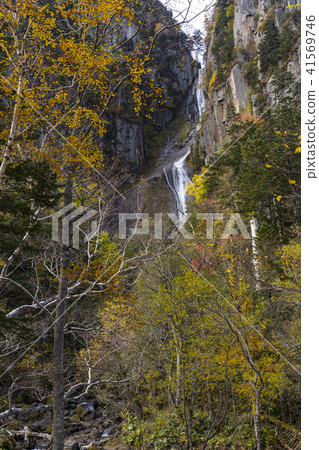 Autumn leaves of the Daisetsuyama system Autumn leaves of the Daisetsuyama system 41569746