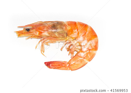 Fresh cooked shrimp on white background Fresh cooked shrimp on white background 41569953