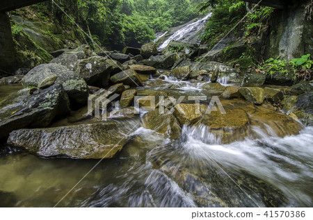 tropical river surrounded by green forest tropical river surrounded by green forest 41570386