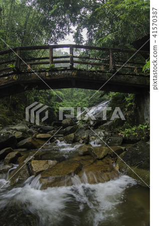 tropical river surrounded by green forest tropical river surrounded by green forest 41570387