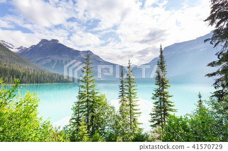 Emerald lake Emerald lake 41570729