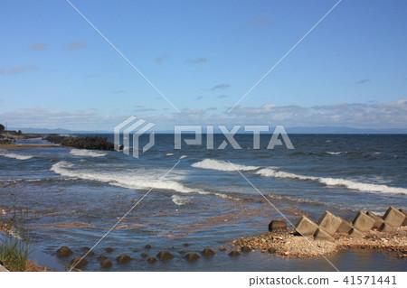 Toyama Prefecture Namerikawa-shi Kamiichi River estuary Fish near the fishing port Spring Spring 41571441