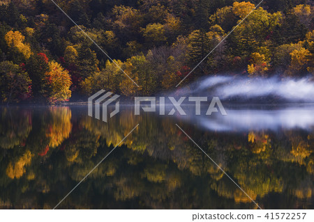 湖Onetto湖秋葉早晨霧 湖Onetto湖秋葉早晨霧 41572257