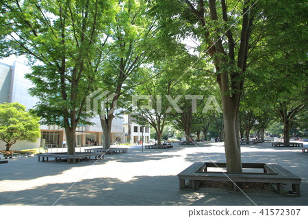 東京學藝大學小金井市 東京學藝大學小金井市 41572307