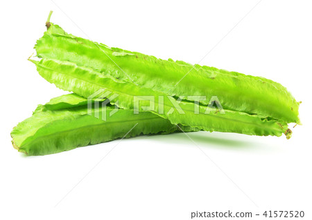 Green winged beans Green winged beans 41572520
