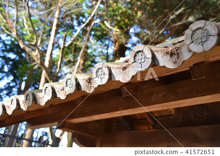 Oda round noodle of Oda Nobunaga 41572651