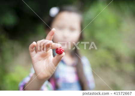 Child with raspberries 41572667