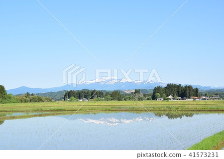 從稻田看見的Kurikomi山 41573231