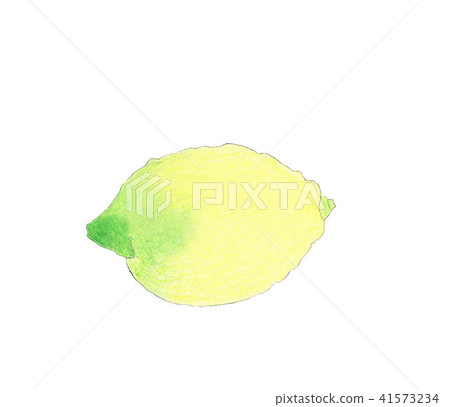 Lemon Lemon 41573234