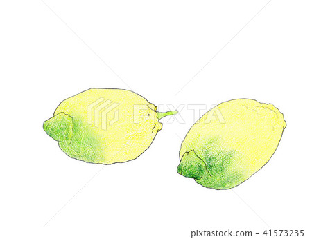 Lemon Lemon 41573235