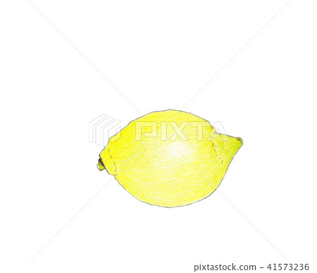 Lemon  41573236