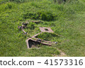 Reamains of a german Gun near Omaha Beach Normandy 41573316