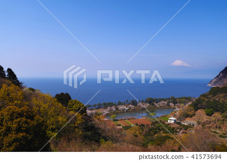 [伊豆/觀光景點]櫻花盛開的富士山和明神池塘複製空間 41573694