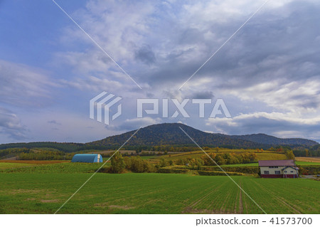 Countryside scenery of Furano 41573700