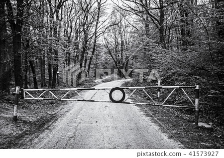 No entry to the forest path, colorless 41573927