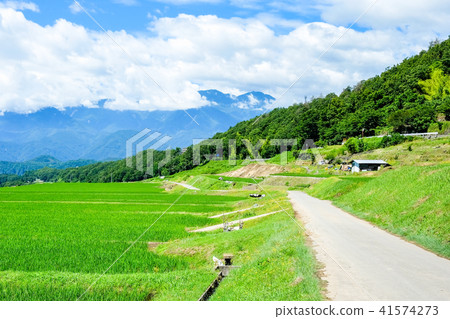 Rural scenery (July) Rural scenery (July) 41574273