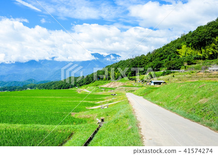 Rural scenery (July) Rural scenery (July) 41574274
