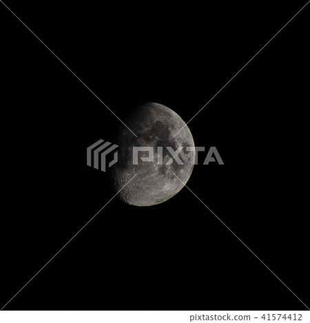 星期一(9.3歲) 星期一(9.3歲) 41574412