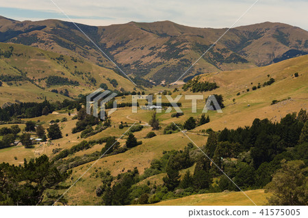 Farmland green filed with mountain  41575005