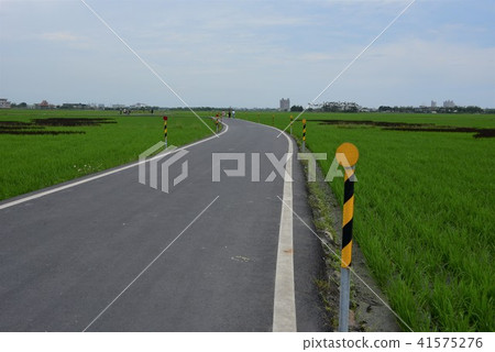 Ilan Burlang Avenue Rice Road 41575276
