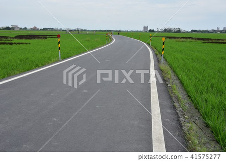 Ilan Burlang Avenue Rice Road Ilan Burlang Avenue Rice Road 41575277