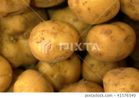 New potato New potato 41576340