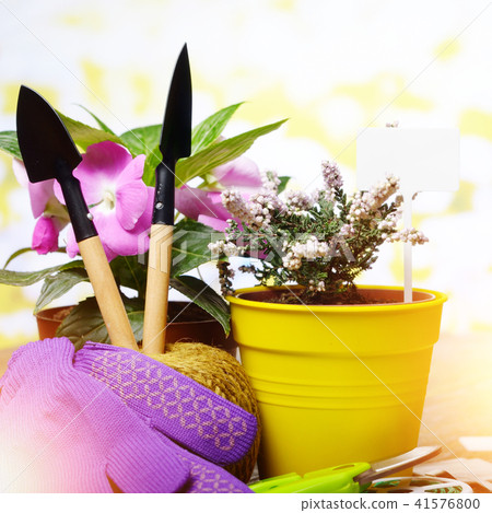 Gardening hobby tools Gardening hobby tools 41576800