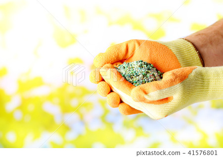 Farmer shows fertilizers in his hands Farmer shows fertilizers in his hands 41576801