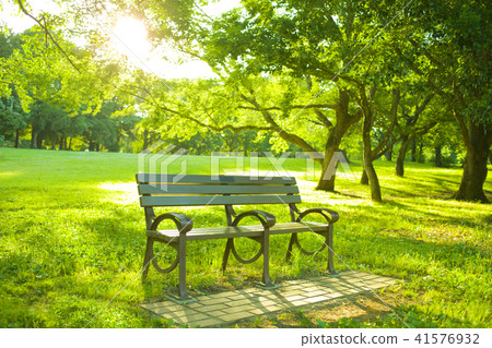 Park bench Park bench 41576932