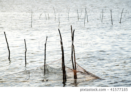 The fishery in a lake in the country, Thailand The fishery in a lake in the country, Thailand 41577185