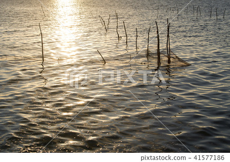 The fishery in a lake in the country, Thailand The fishery in a lake in the country, Thailand 41577186