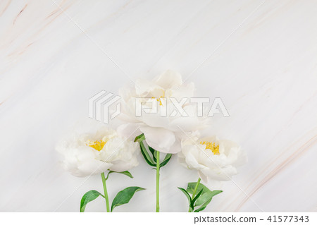 White peony flowers on marble background White peony flowers on marble background 41577343
