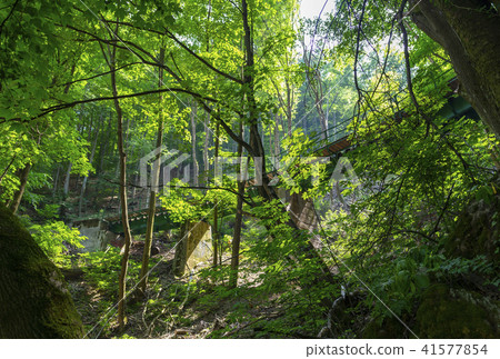 Railway bridge in forest in Lillafured Railway bridge in forest in Lillafured 41577854