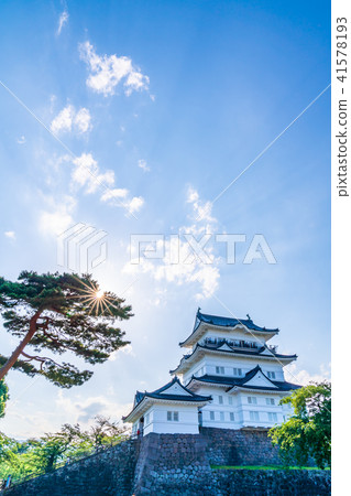 小田原城本丸 小田原城本丸 41578193
