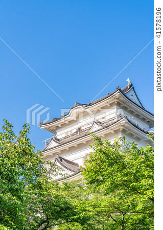 Odawara Castle Honmaru 41578196