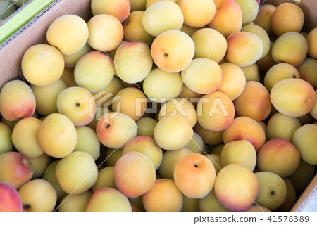 梅果 梅果 41578389