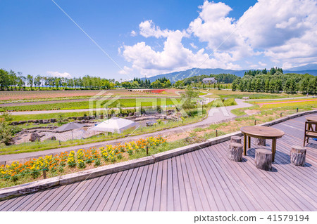 Plateau Refreshment 41579194