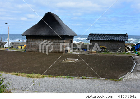 上浜式鹽田角花屋 上浜式鹽田角花屋 41579642