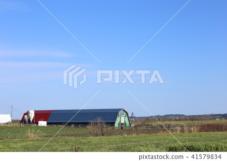 北海道道北地區 農場風光 41579834