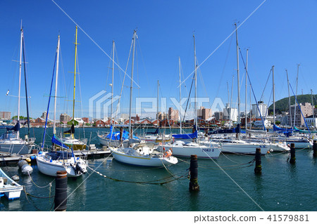 拍攝北海道函館市灣區綠島公園遊艇港的初夏風光 41579881