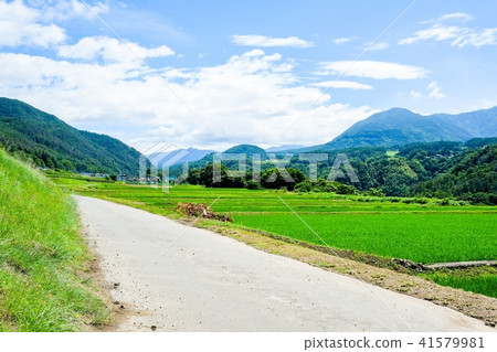 田園風光(七月) 田園風光(七月) 41579981
