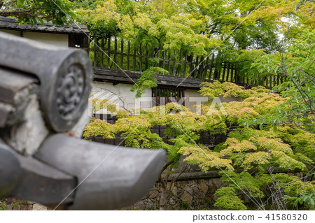 倉敷美觀地區:清新的綠色水道和日本瓦片 倉敷美觀地區:清新的綠色水道和日本瓦片 41580320