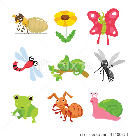 insects character design 41580573